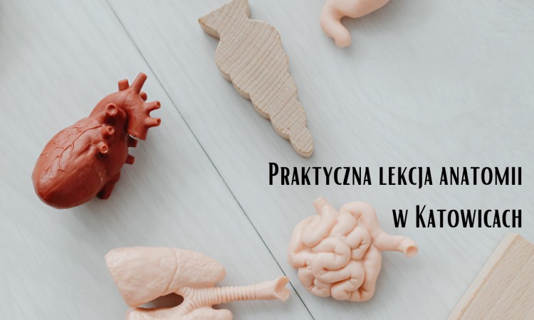  Praktyczna lekcja anatomii w Katowicach