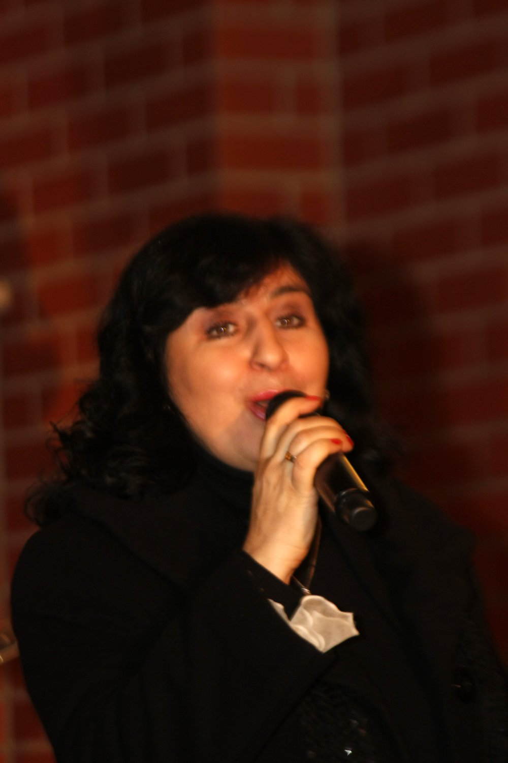Koncert Noworoczny w Bolszewie