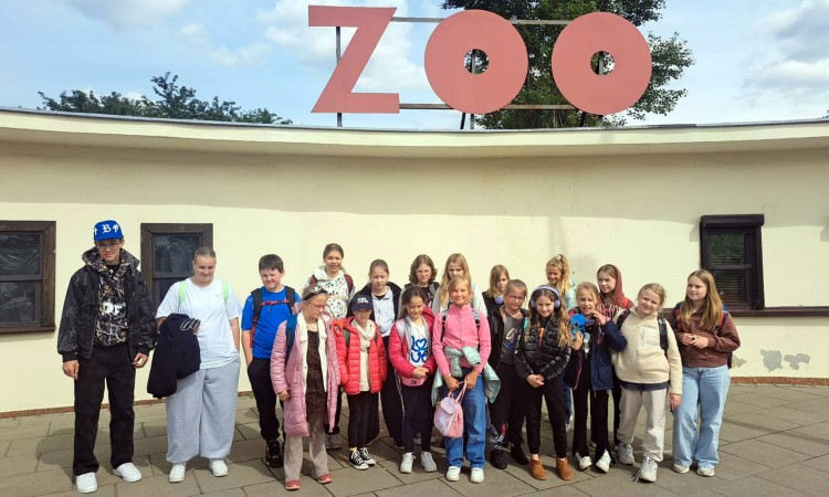 Schola w Katowicach